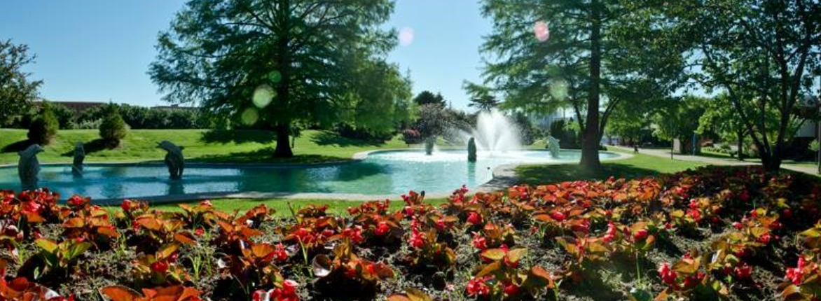 جامعة سانت لويس